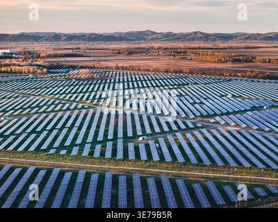 Trino, Italien - 30. März 2026: Aus der Vogelperspektive eines riesigen Solarparks, der sich über die Landschaft erstreckt, mit Paneelen, die unter dem warmen Sonnenlicht leuchten, im Kontrast zu W Stockfoto