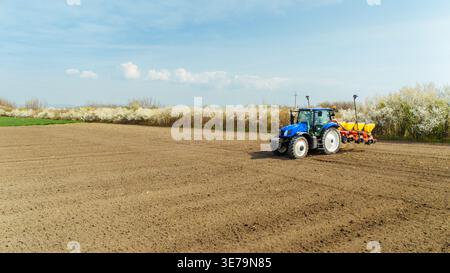 Aus der Vogelperspektive eines blauen Traktors, der den Boden auf einem weiten Feld bebaut, im Kontrast zu einer Reihe von Bäumen mit weißen Blüten, Sremska Mitrovica, Vojvodina, Serbien Stockfoto