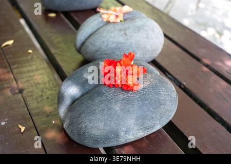 Coco de Mer Nuss mit leuchtend roten Hibiskusblüten auf der Oberseite, auf einer Holzbank im Fond Ferdinand Nature Reserve auf Praslin Island, Seychellen Stockfoto