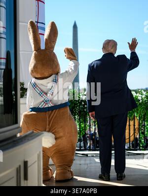 Washington, Vereinigte Staaten von Amerika. April 2026. US-Präsident Donald Trump, zusammen mit dem Osterhasen, winkt den Gästen auf dem Südrasen, die sich am 6. April 2026 in Washington, D.C. zur jährlichen Ostereierrolle vom Truman Balcony of the White House versammelten. Credit: Handout/White House Photo/Alamy Live News Stockfoto