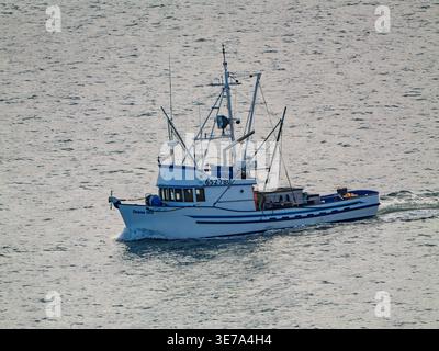 Bodega Bay, Kalifornien - 10. Januar 2026: Kommerzielles Fischerboot Donna Mia Fährt Durch Den Hafen Von Bodega Stockfoto