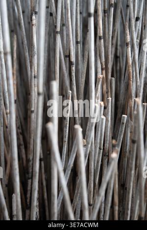 Dichte trockene Sticks vertikales Muster natürliche Holzstruktur rustikaler organischer Hintergrund minimales abstraktes Design Stockfoto