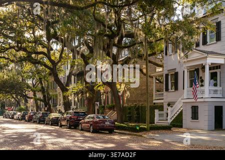 Savannah, USA - 11. März 2026: Idyllische Nachbarschaftsstraße mit Eichen und spanischem Moos im Herzen des historischen Savannah Stockfoto