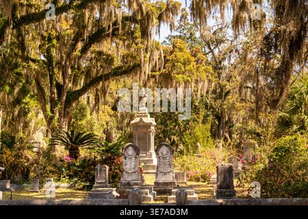 Savannah, USA - 11. März 2026: Detailansicht von Grabsteinen und typischem lebenden Eichen und spanischem Moos auf dem historischen Bonaventure Friedhof Stockfoto