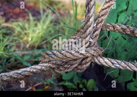 Ein starker Seilknoten wird an einem grünen Altreifen in einem offenen Bereich gebunden. Das Seil hat eine raue Textur mit deutlich sichtbaren Fasern. Stockfoto