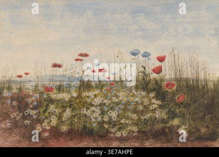 Historische Illustration eines Flusses von Wildblumen mit rotem Mohn, blauen Blüten und weißen Gänseblüten in einer natürlichen Wienlandschaft von Andrew Nicholl, 1830–1839 Stockfoto