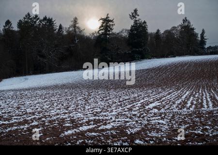 Eine trübe Sonne blickt durch Wolken über einem dunklen Wald, der an ein Feld mit leicht verschneiten Erdreihen grenzt Stockfoto