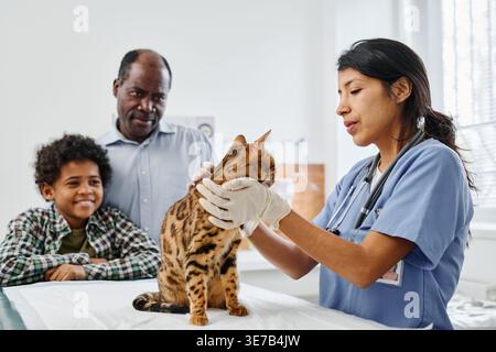 Hispanische Tierärztin untersucht den Körper einer Katze, während sie am Tisch neben schwarzem Vater und Sohn in der Klinik steht Stockfoto