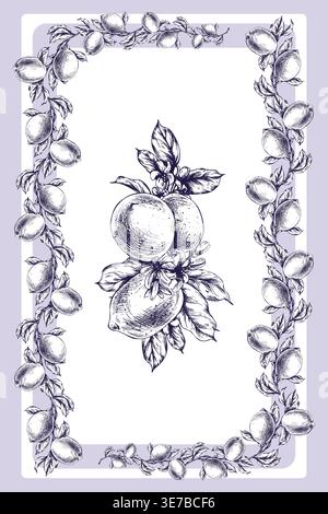 Handgezeichnete Zitrone Illustration mit Tinte grafischer Strichgrafik. Botanische Rahmenschablone mit Zitrusfrüchten und Blütenzweigen. Dekoratives Vintage-Element Stock Vektor