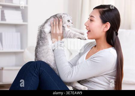 Lächelnde Chinesin, die mit der schottischen Faltkatze spielt und auf dem Sofa zu Hause sitzt Stockfoto