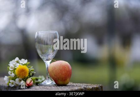 Stillleben im Freien mit einem leeren Glas, einem Apfel und Frühlingsblumen auf einer Steinoberfläche, umgeben von einem verschwommenen Weinberg und Bäumen im natürlichen Licht. Stockfoto