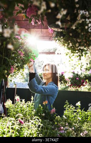 Frau mit gemischter Rasse schneidet während des Sonnentages im Garten Blätter Stockfoto