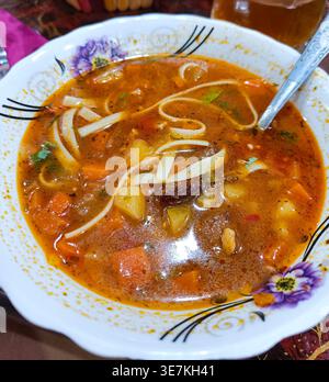 Traditionelle zentralasiatische Lagman-Suppe mit Rindfleisch, Nudeln und Gemüse in einer Blumenschüssel. Stockfoto