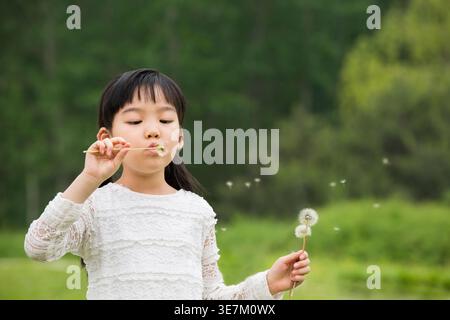 Chinesisches Mädchen, das tagsüber Löwenzahn auf dem Rasen im Park bläst Stockfoto