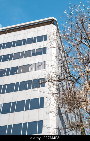 Moderne Fassade Des Weißen Bürogebäudes, Flacher Blick Auf Unternehmensimmobilien, Zeitgenössisch Stockfoto