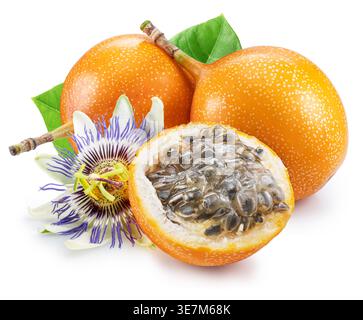 Gelbe süße granadilla-Früchte (Passiflora ligularis) mit granadilla-Blättern und Blüte isoliert auf weißem Hintergrund mit Schnittpfad. Hohe Qualität Stockfoto