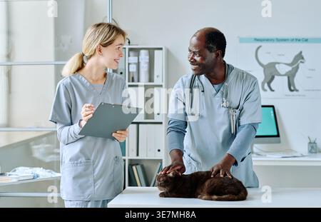 Schwarzer männlicher Arzt untersucht Katze in der Nähe einer kaukasischen Krankenschwester und macht Notizen, während er in der Tierklinik am Tisch steht Stockfoto