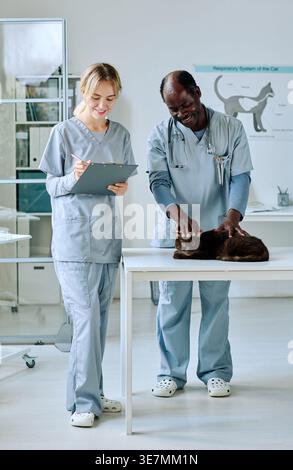 Schwarzer männlicher Arzt untersucht Katze in der Nähe einer kaukasischen Krankenschwester und macht Notizen, während er in der Tierklinik am Tisch steht Stockfoto
