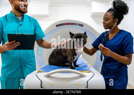 Indische Krankenschwester mit Klemmbrett, die mit einer schwarzen Kollegin mit Stethoskop spricht und einen Hund untersucht, der auf dem Scannerbett sitzt, während er im MRT-Raum steht Stockfoto