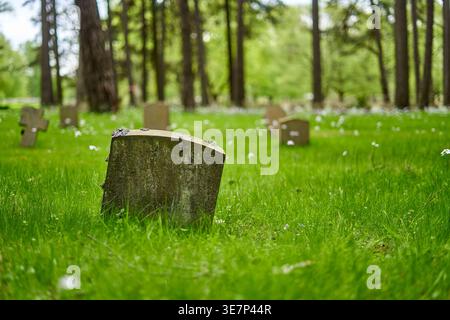 Ein verwitterter, moosbewachsener Grabstein, der sich leicht nach vorne neigt, in üppigem, lebhaftem grünem Gras, das mit kleinen weißen Wildblumen übersät ist. Mehrere andere einfache Stockfoto