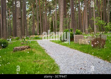 Ein gewundener Kiesweg schlängelt sich durch einen Waldfriedhof, der von hohen Kiefern umgeben ist. Mehrere Grabmale und Grabsteine sind auf dem Stockfoto