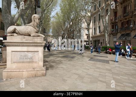 Mallorca. Spanien - 11. April 2026: Eine Sphinx-Statue markiert den Eingang zum Passeig des Born in Palma. Fußgänger laufen auf dem von Bäumen gesäumten Boulevard fea Stockfoto