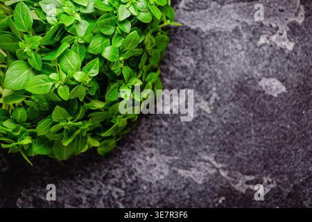 Basilikumbusch auf einem dunklen Tisch. Draufsicht. Stockfoto
