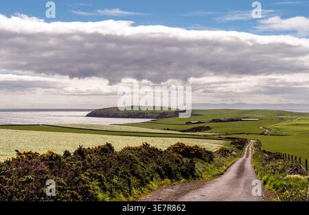Die gewundene Landstraße führt über üppige Felder zur zerklüfteten Küste am Mull of Galloway, Schottland. Stockfoto