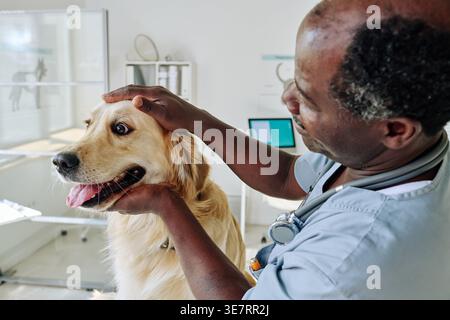 Schwarzer männlicher Arzt untersucht Hund, während er in der Klinik am Tisch steht Stockfoto