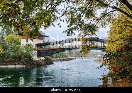 Brücke von Punakha Dzong im Frühling Stockfoto