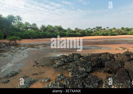Abgeschiedener Strand mit rotem Sand gesäumt von tropischem Wald bei Ebbe auf Bubaque Island, Bijagos Archipel, Guinea Bissau. Stockfoto