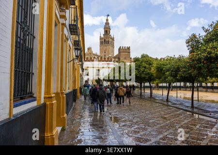 Touristen laufen durch den Patio de Banderas in Richtung Kathedrale von Sevilla und La Giralda Turm an einem regnerischen Tag im historischen Viertel Santa Cruz, Sevilla. Stockfoto