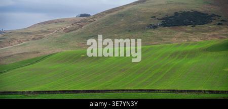 Riesige landwirtschaftliche Landschaft mit hügeligen grünen Feldern und trockenen Grashängen unter einem stimmungsvollen, bewölkten Himmel Stockfoto