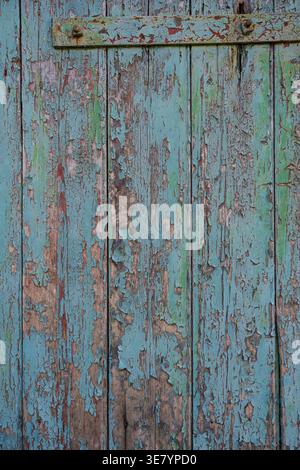 Nahtstruktur von alten Holzdielen mit abblätternder türkisfarbener und grüner Farbe, die verwittertes Holz darunter freigibt Stockfoto