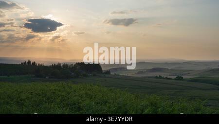 Die Sonne wirft ätherische Strahlen über eine weite, hügelige Landschaft aus grünen Feldern und fernen Wäldern, die eine ruhige Abendatmosphäre schaffen Stockfoto