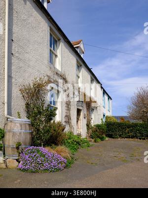Ein malerisches weißes Cottage mit leuchtenden lila Blumen und einem rustikalen Holzfass, das ein Gefühl ländlicher Ruhe und natürlicher Schönheit weckt Stockfoto