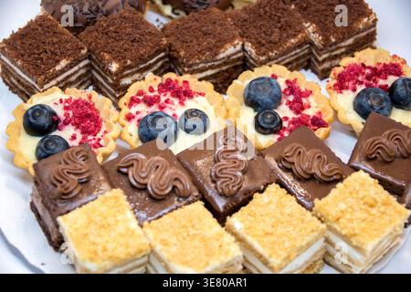 Arrangement mit Mini-Torten und Kuchen. Stockfoto