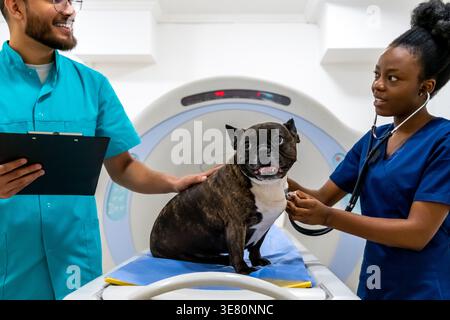 Indische Krankenschwester mit Klemmbrett, die mit einer schwarzen Kollegin spricht, die ein Stethoskop benutzt und einen Hund untersucht, der auf dem Scannerbett sitzt, während er im MRT steht... Stockfoto