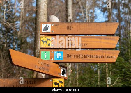 Wegschilder im Nationalpark Bayerischer Wald, Bayerischer Wald, Bayern, Deutschland Stockfoto
