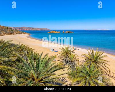 Die malerische Landschaft mit Palmen, türkisfarbenes Wasser und tropischen Strand, Vai, Kreta, Griechenland. Stockfoto