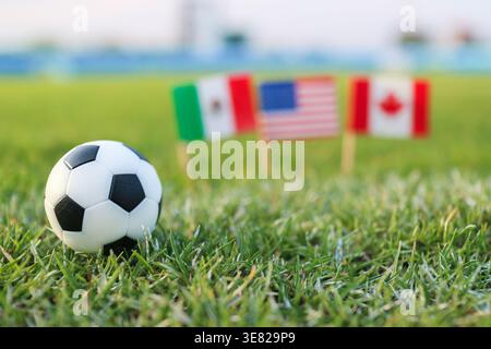 Nahaufnahme eines Fußballballs auf einem grünen Feld mit verschwommenem Hintergrund der Nationalflaggen. Kultige Bilder für internationale Fußballveranstaltungen. Stockfoto