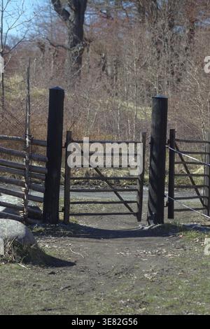 Alter schwedischer Holzzaun auf dem Feld bei Frühlingssonne Stockfoto