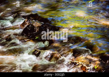 Der Fluss rauscht über moosige Felsen und erzeugt sanften weißen Schaum. Das grüne Wasser spiegelt das üppige Baumkronen des Waldes wider. Lange Belichtung glättet Bewegungen. Stockfoto