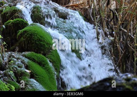 Das Wasser fließt sanft über lebendiges grünes Moos auf Felsen und schafft tagsüber eine ruhige Atmosphäre in einer üppigen natürlichen Umgebung. Das Geräusch des Rauschens W Stockfoto