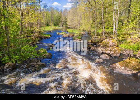 Fließendes Wasser in einem Fluss in einem üppigen Laubwald an einem sonnigen Frühlingstag Stockfoto