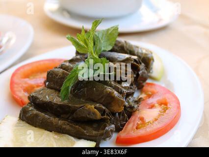 Authentischer libanesischer Dolma-Teller mit gefüllten Traubenblättern, serviert mit frischer Zitrone, Tomatenscheiben und Minzgarnitur. Stockfoto