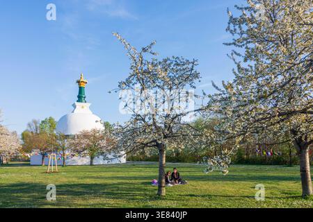 Friedenspagode Wien Friedenspagode Wien, Kirschblüte Wien 02. Leopoldstadt Wien Österreich Stockfoto