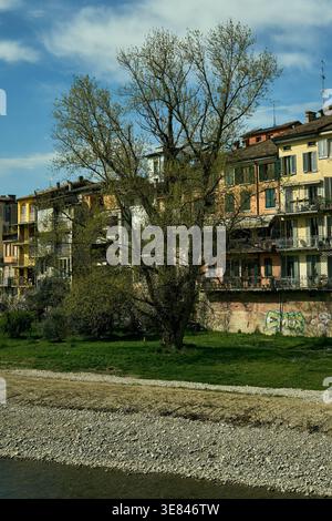 Die Stadt Parma zeigt einen Baum mit frischen Frühlingsblättern am Flussufer und farbenfrohe historische Gebäude Stockfoto