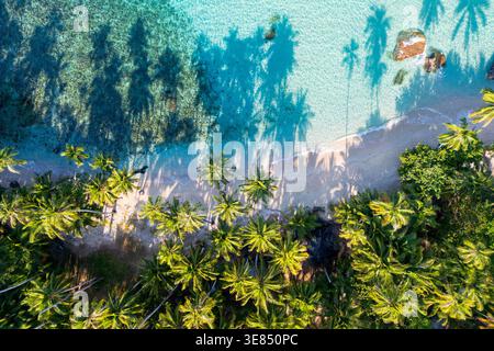 Blick aus der Vogelperspektive auf einen von tropischen Palmen gesäumten Strand mit klarem türkisfarbenem Wasser und Sandstrand Stockfoto