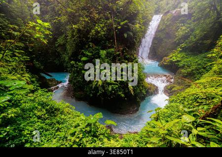 Üppiger tropischer Regenwald-Wasserfall, der in türkisfarbene Flussbecken mündet, dicht grünes Laub und nebeliges Licht in einer ruhigen Dschungellandschaft. Stockfoto